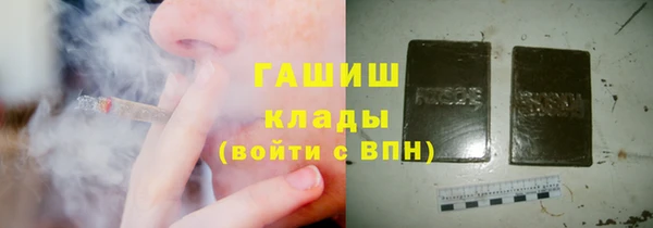 мдпв Богородицк