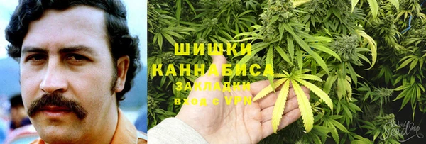 мяу мяу мука Баксан
