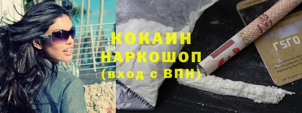 мдпв Богородицк