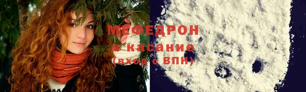 мдпв Богородицк