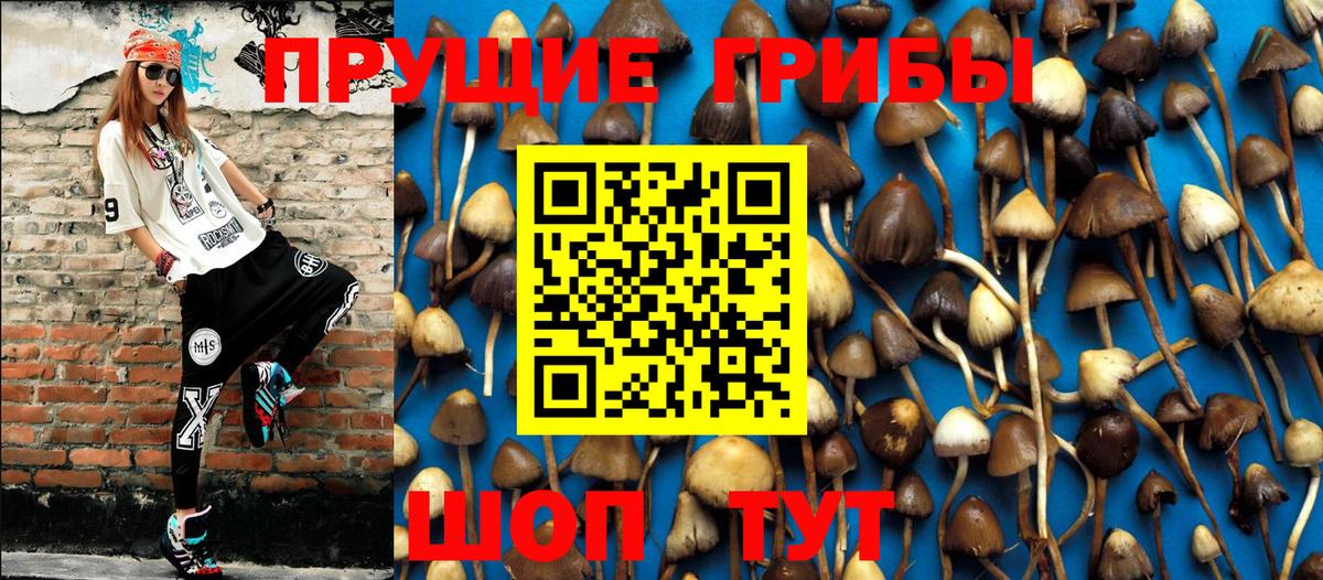 Псилоцибиновые грибы Бузулук