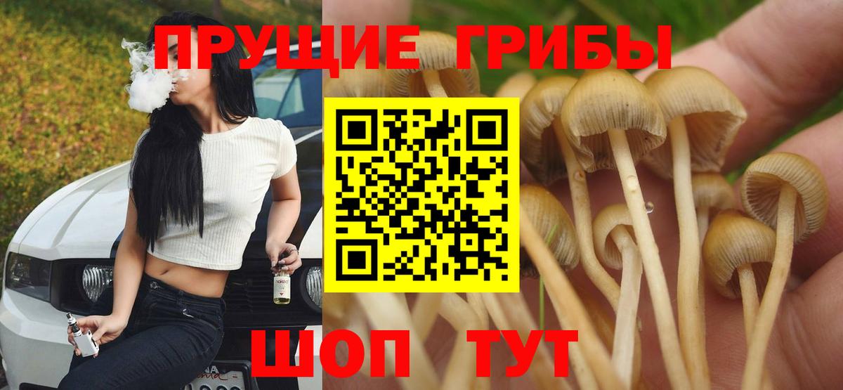 Галлюциногенные грибы мицелий  цены   Бузулук  Вход с VPN 